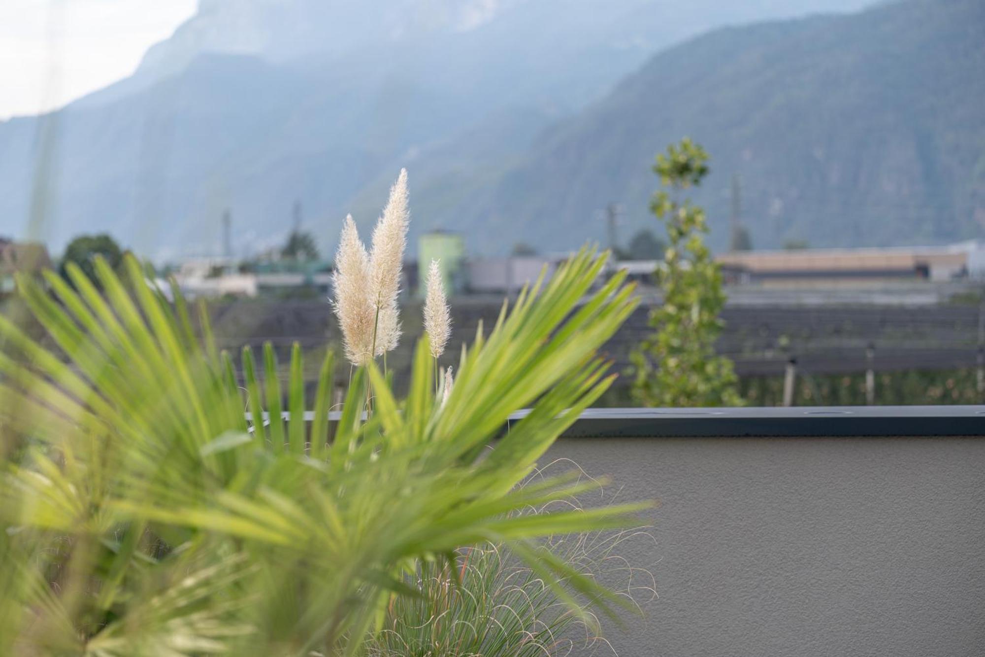 Garden Lodge Gargazzone Dış mekan fotoğraf